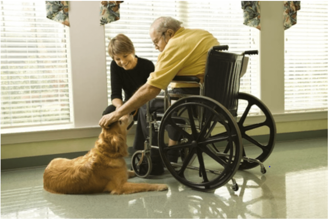 What is Pet Therapy for the Elderly? Seniors Blue Book